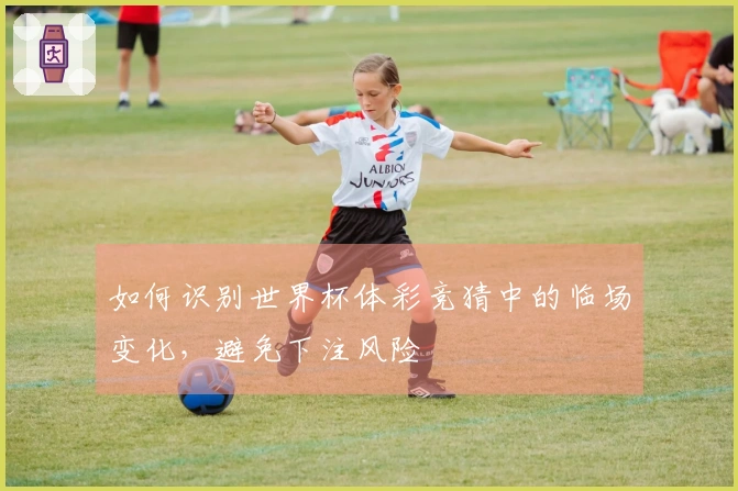 如何识别世界杯体彩竞猜中的临场变化，避免下注风险