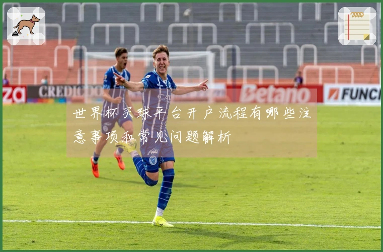 世界杯买球平台开户流程有哪些注意事项和常见问题解析