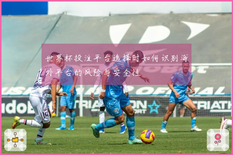 世界杯投注平台选择时如何识别海外平台的风险与安全性