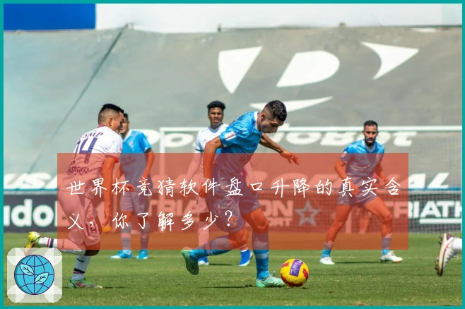 世界杯竞猜软件盘口升降的真实含义,你了解多少?